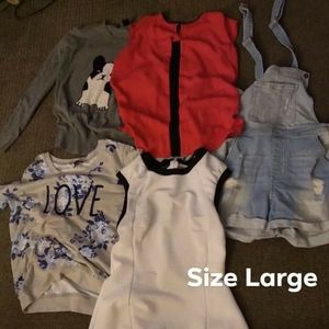 Sz Large Women's clothes 5 count